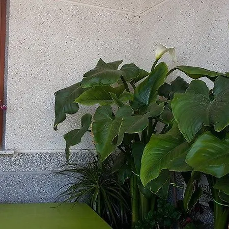 Hotel Condes De Buñol
